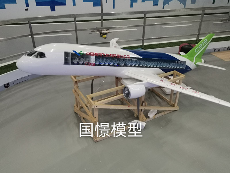 虹口区飞机模型